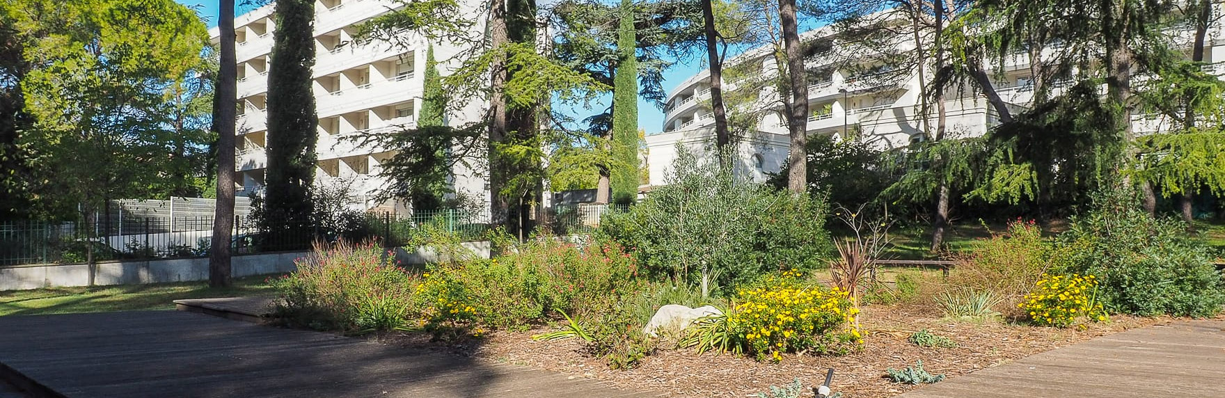 immobilier Montpellier Aiguelongue